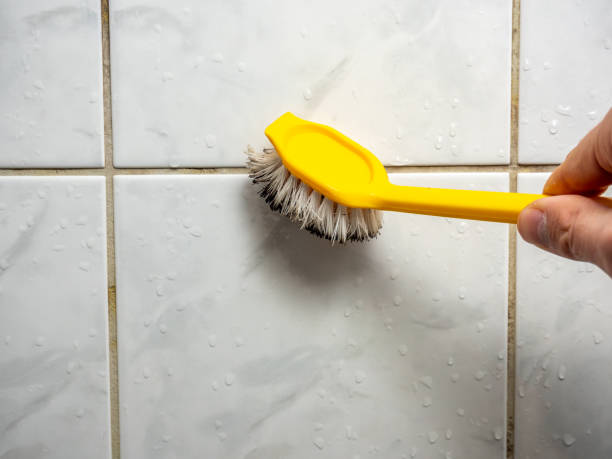 Best Residential Mold Remediation in Rson, CA