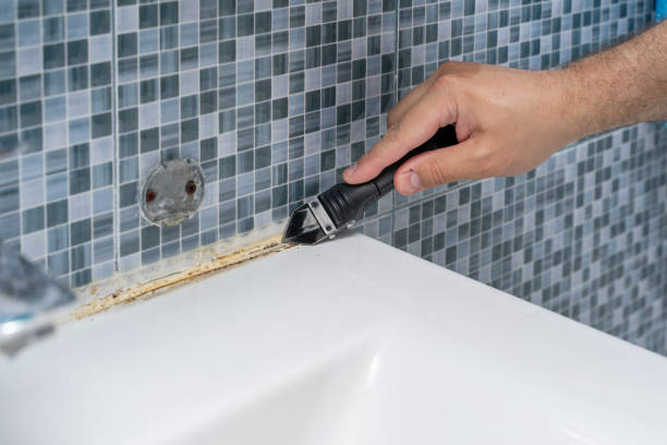 Best DIY Mold Remediation Support Services in Rson, CA
